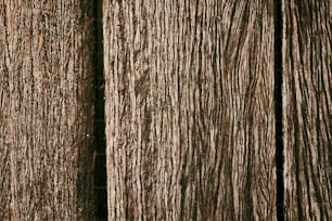 une vue rapprochée d’une surface en bois