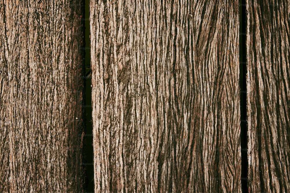 une vue rapprochée d’une surface en bois
