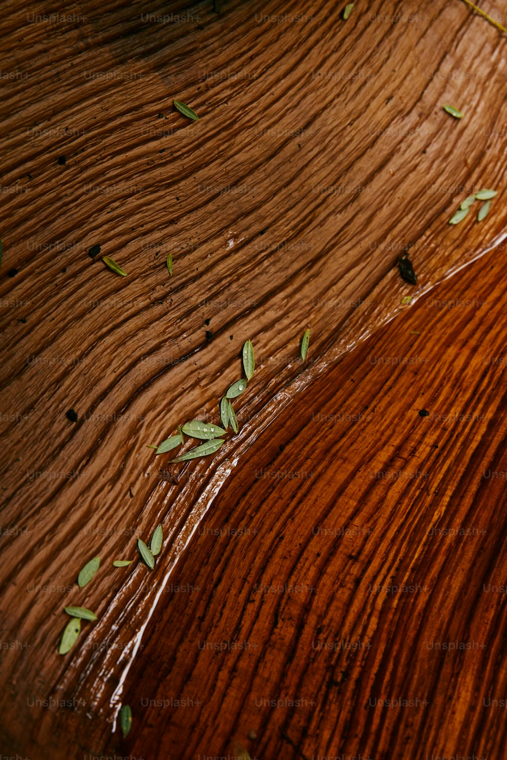 a close up of a wooden table with leaves on it