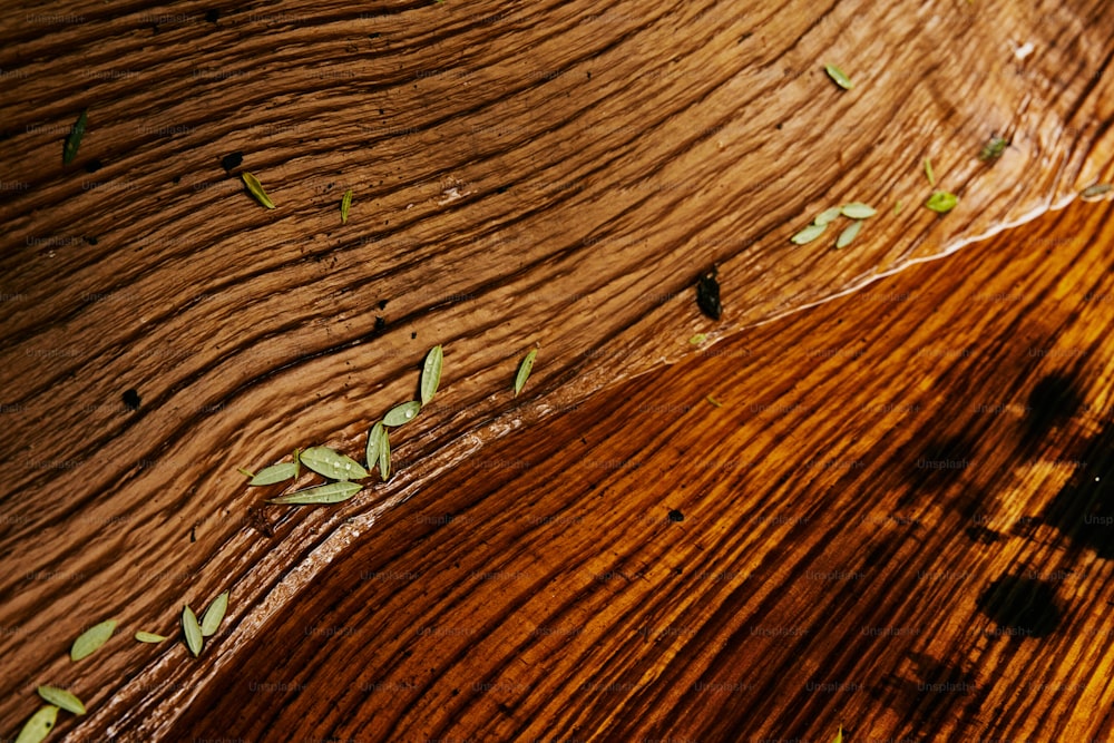 a close up of a wooden surface with leaves on it