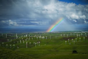 a rainbow in the sky over a green field
