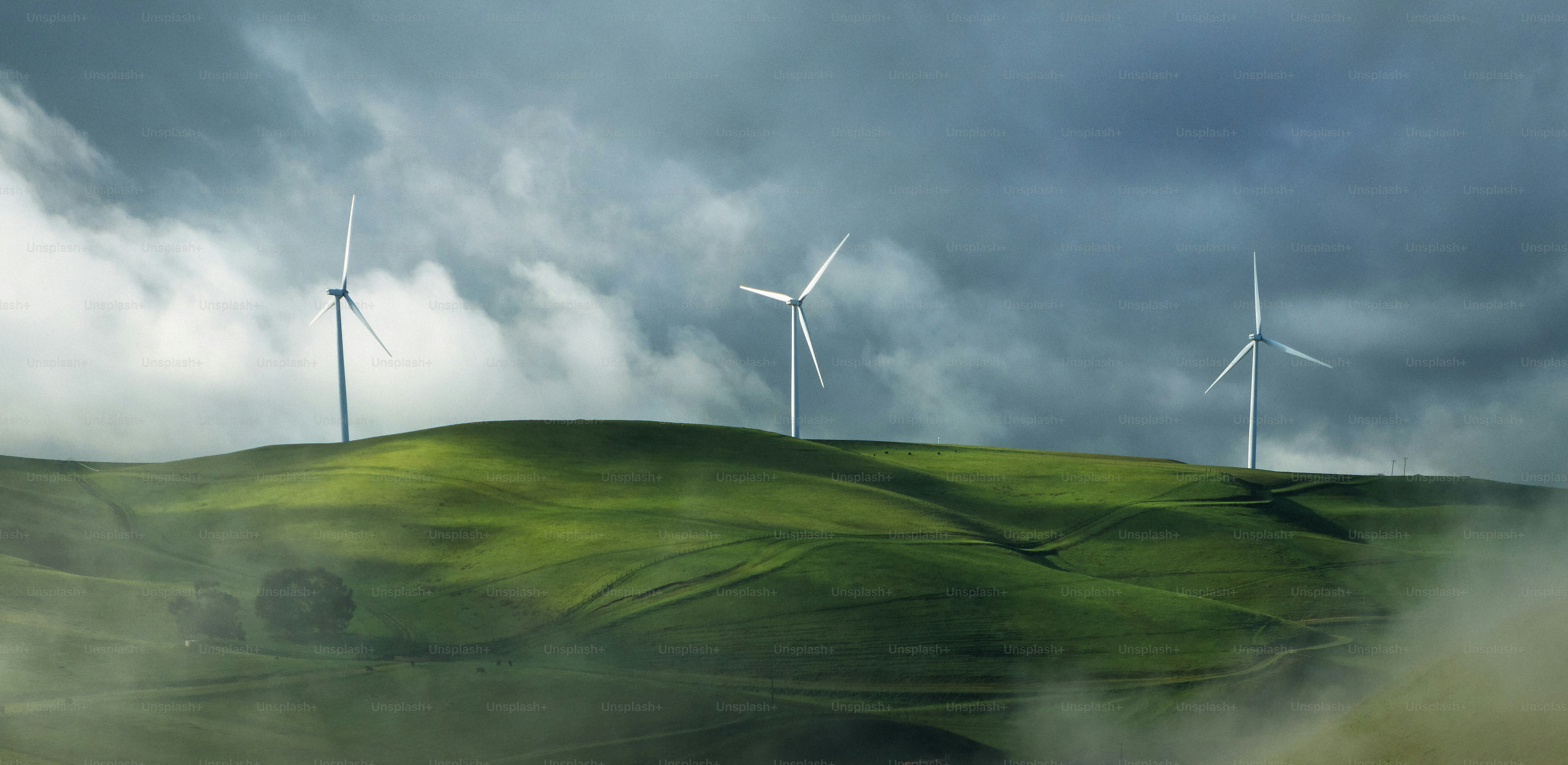 Un grupo de aerogeneradores en una colina verde