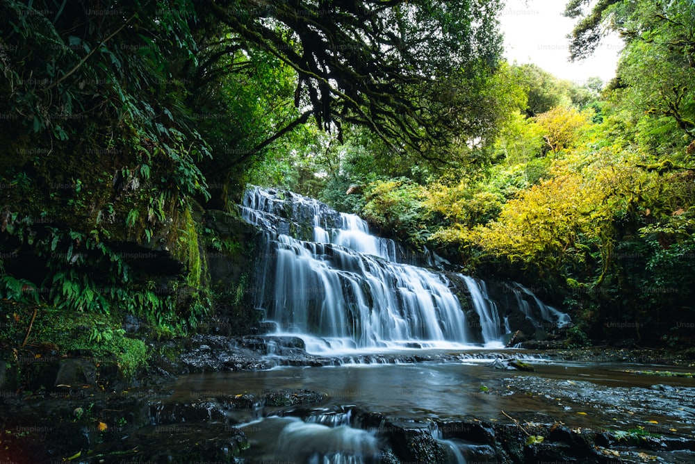 a small waterfall in the middle of a forest