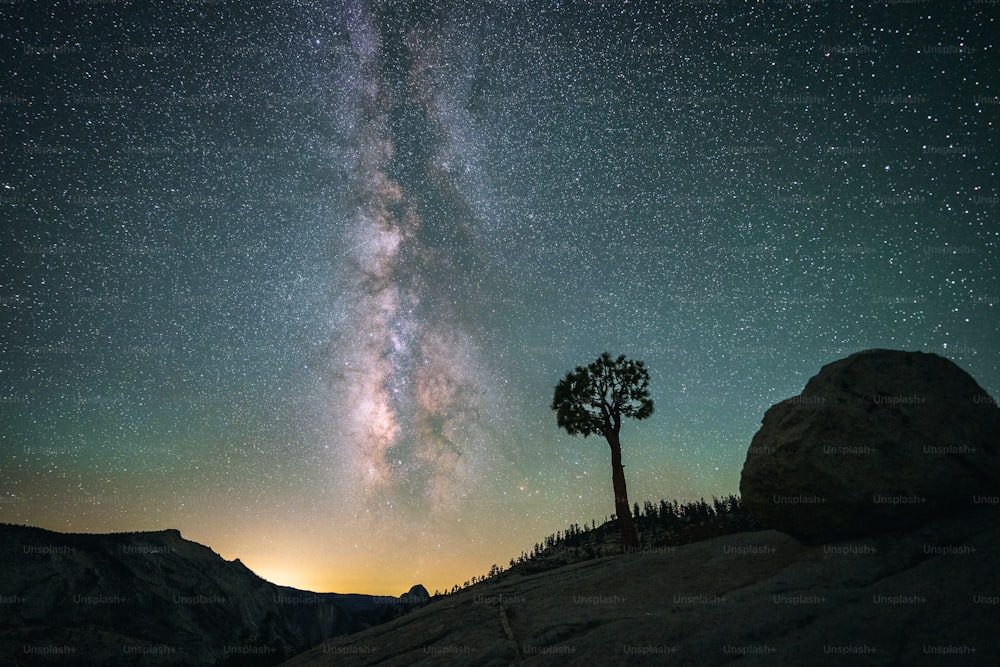 a lone tree on a hill under a night sky filled with stars