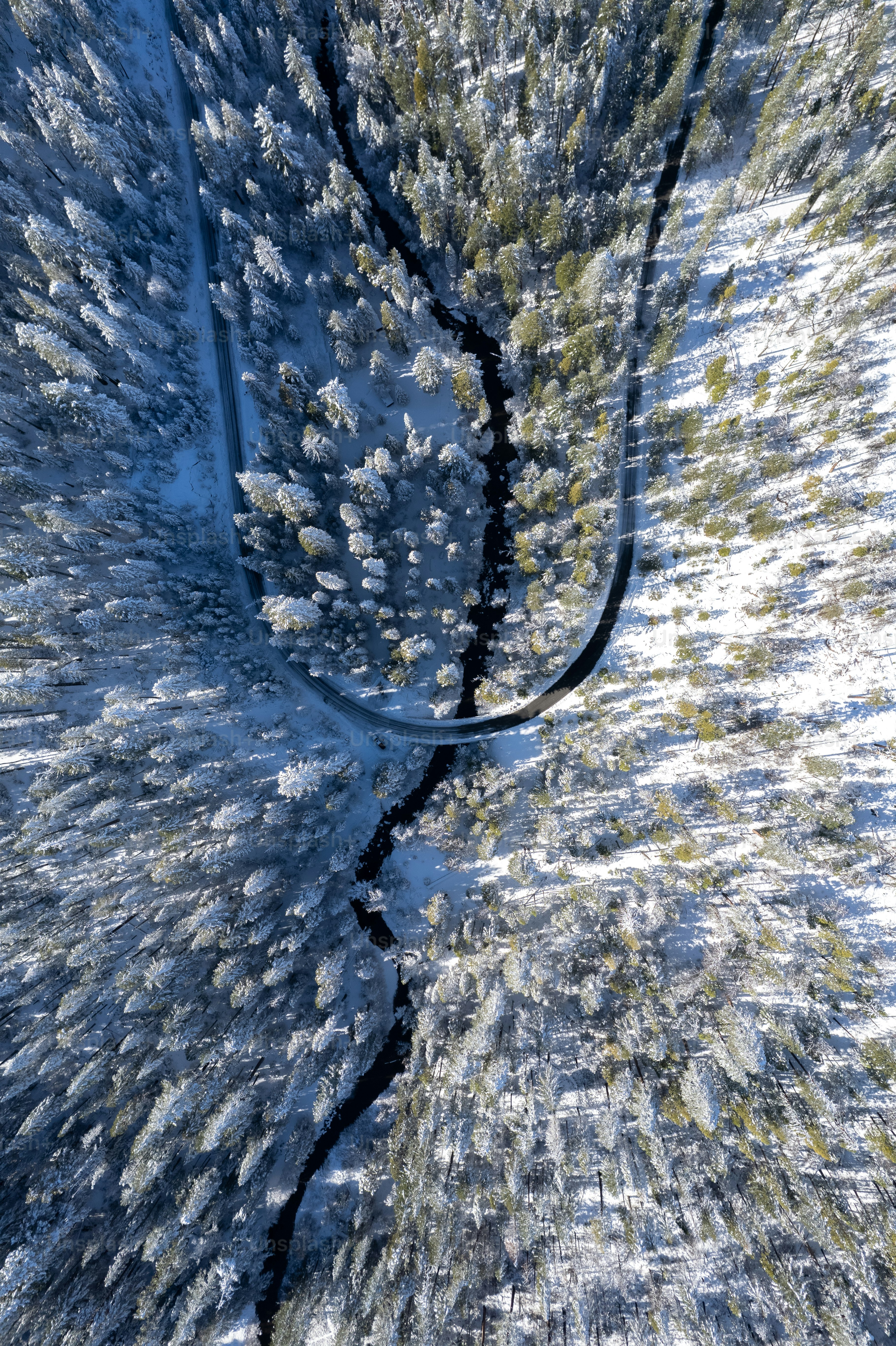 an aerial view of a snow covered forest