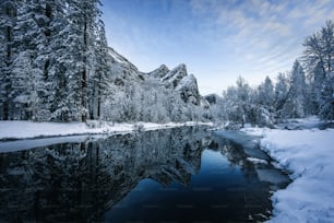um rio cercado por árvores cobertas de neve e montanhas