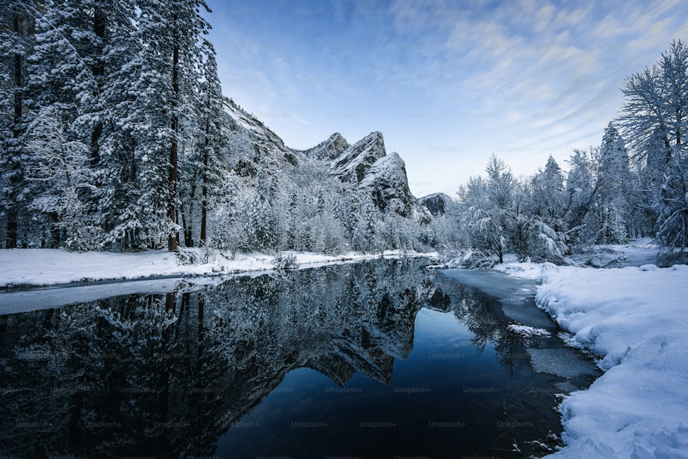 Ein Fluss, umgeben von schneebedeckten Bäumen und Bergen