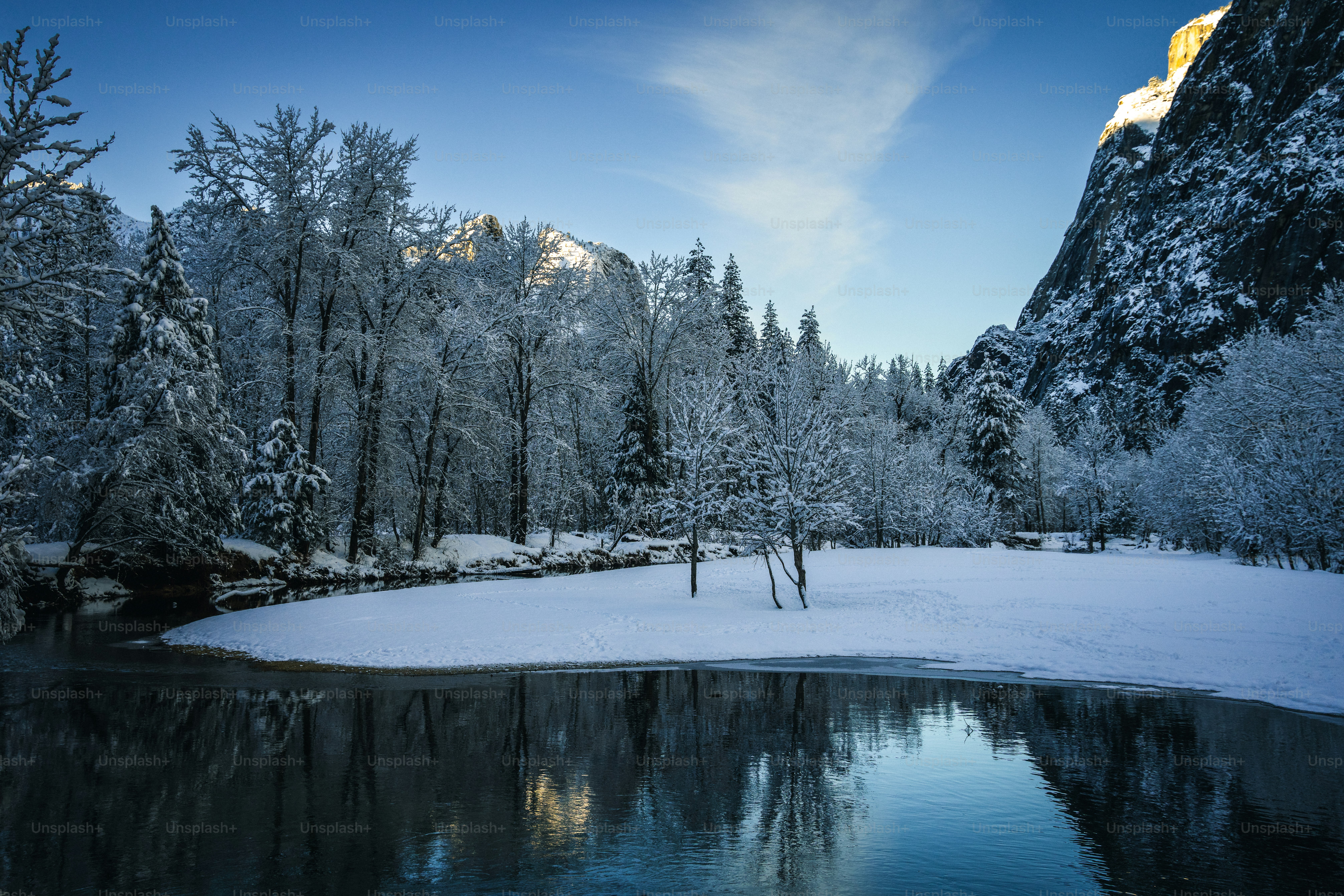 a lake surrounded by trees covered in snow