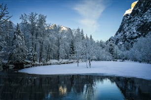 Ein See, umgeben von schneebedeckten Bäumen