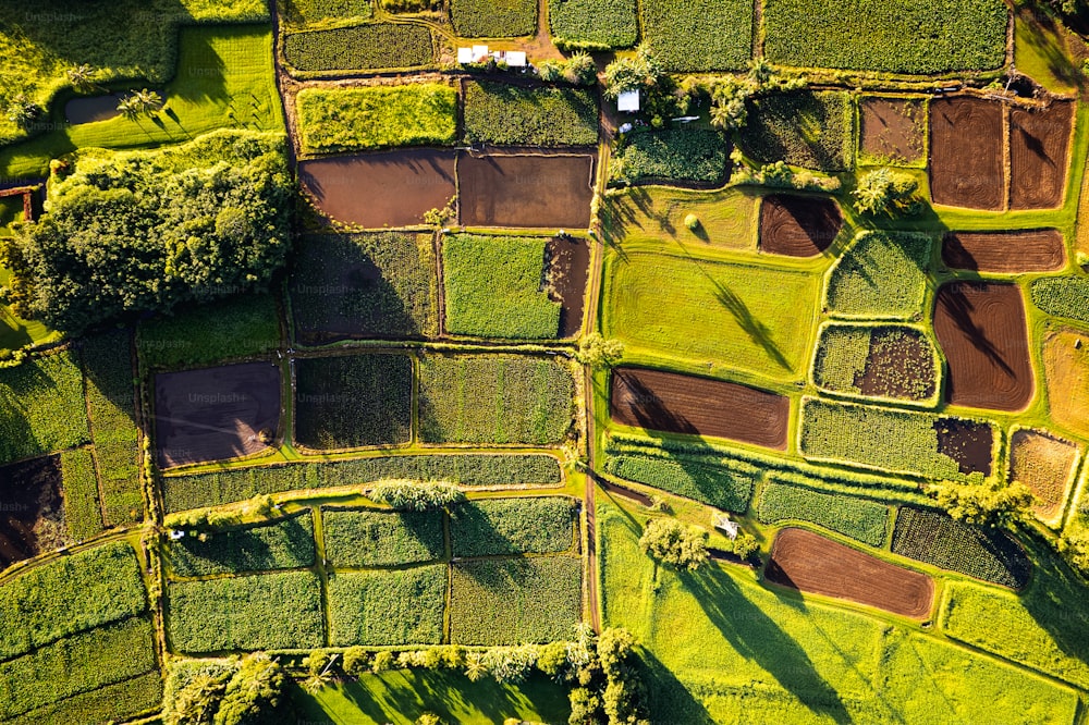 an aerial view of a lush green field