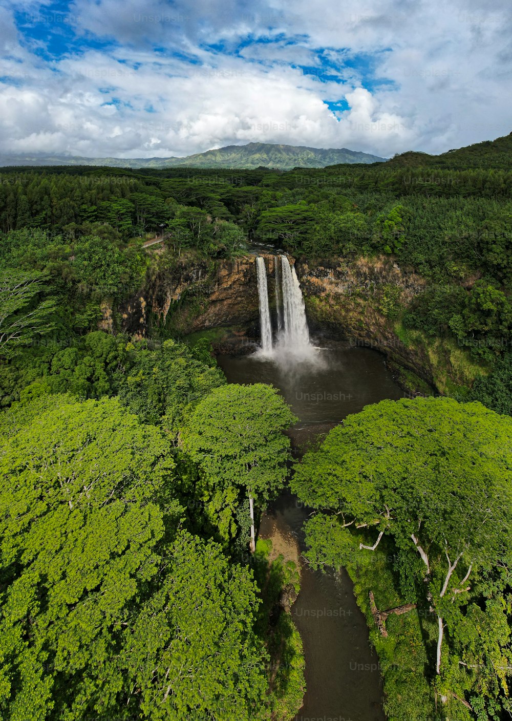 Una cascata nel mezzo di una lussureggiante foresta verde