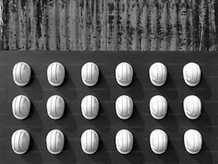 a black and white photo of a bunch of white knobs