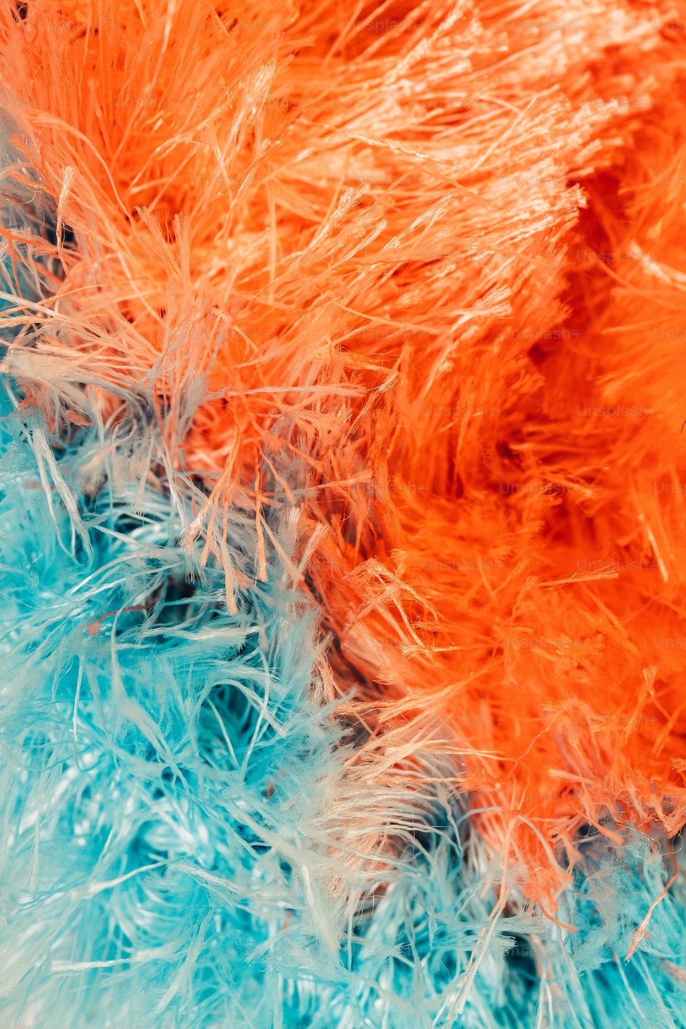 a close up of a blue, orange and white fur