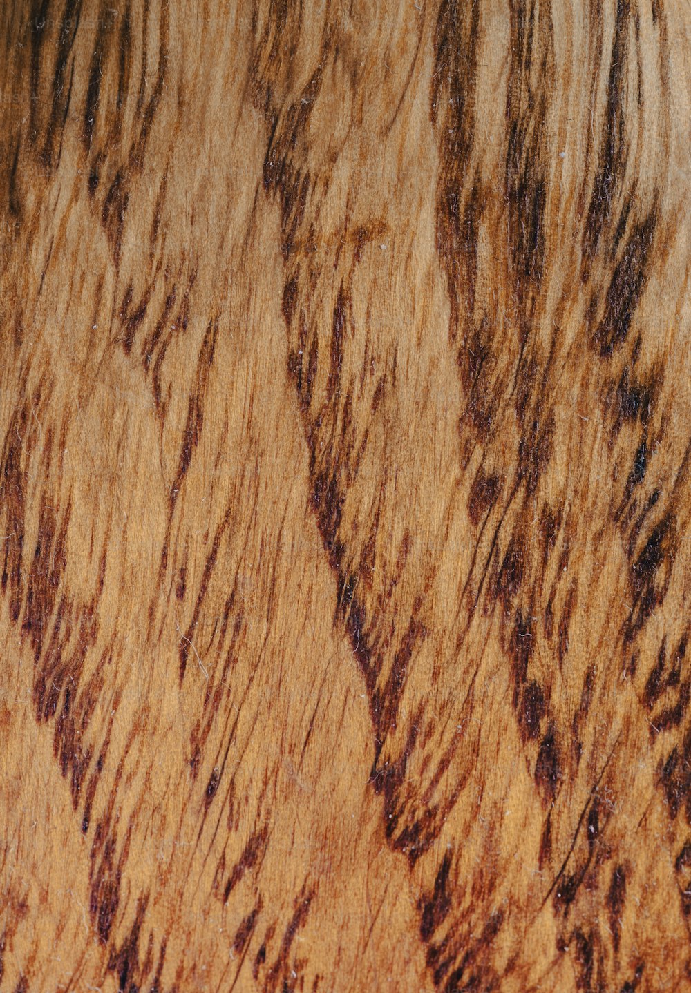 Vue rapprochée d’une surface en bois