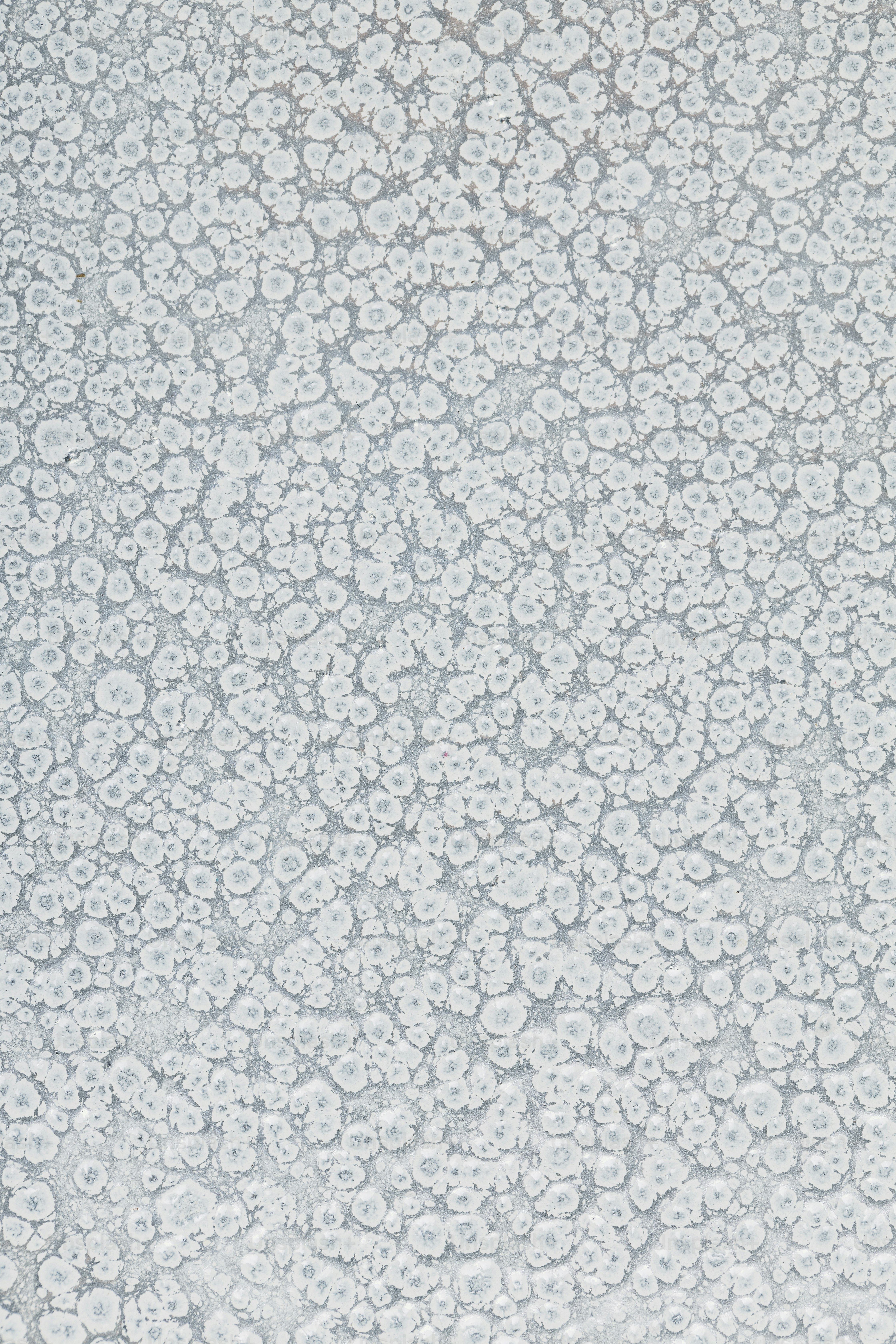 Un avion survole beaucoup de gouttes d’eau