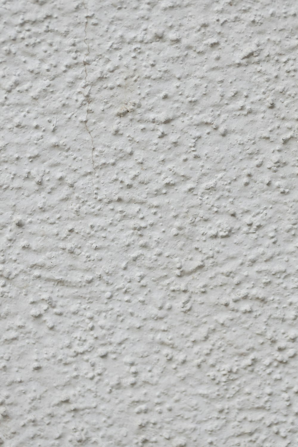 Ein schwarz-weißer Vogel sitzt auf einer weißen Wand