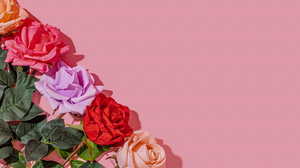 ピンクの背景にさまざまな色のバラの束