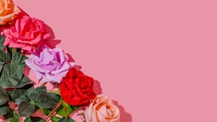 un bouquet de roses de différentes couleurs sur fond rose