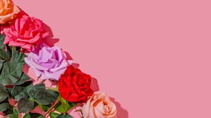 a bunch of different colored roses on a pink background