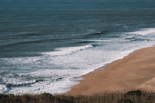 uma vista de uma praia com ondas vindas do oceano