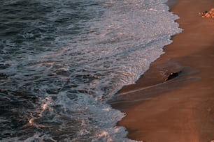 um corpo de água sentado em cima de uma praia de areia