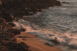 a couple of people walking along a beach next to the ocean