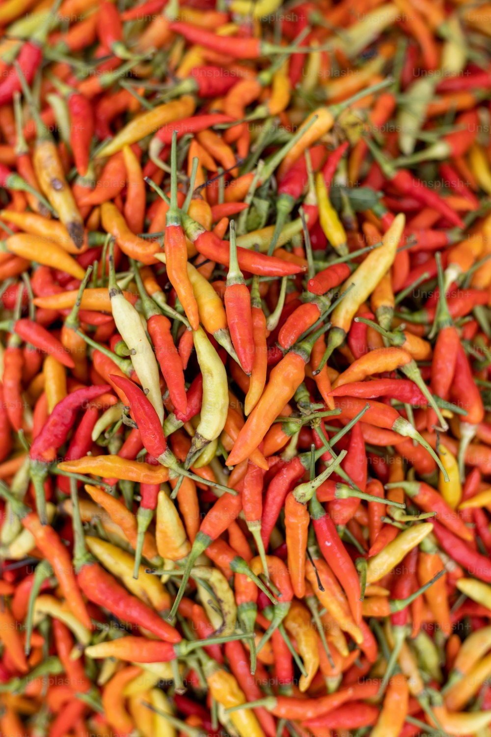a large pile of red and yellow peppers