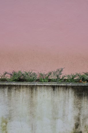 시멘트 벽 위에 앉아 있는 빨간 소화전