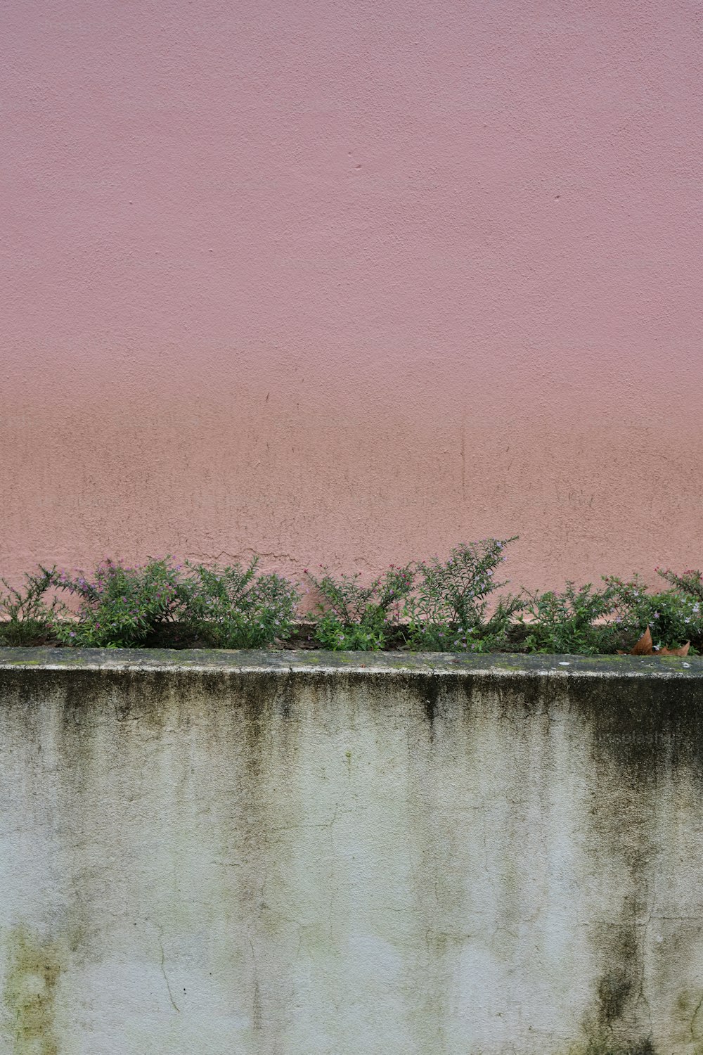 Un idrante rosso seduto in cima a un muro di cemento