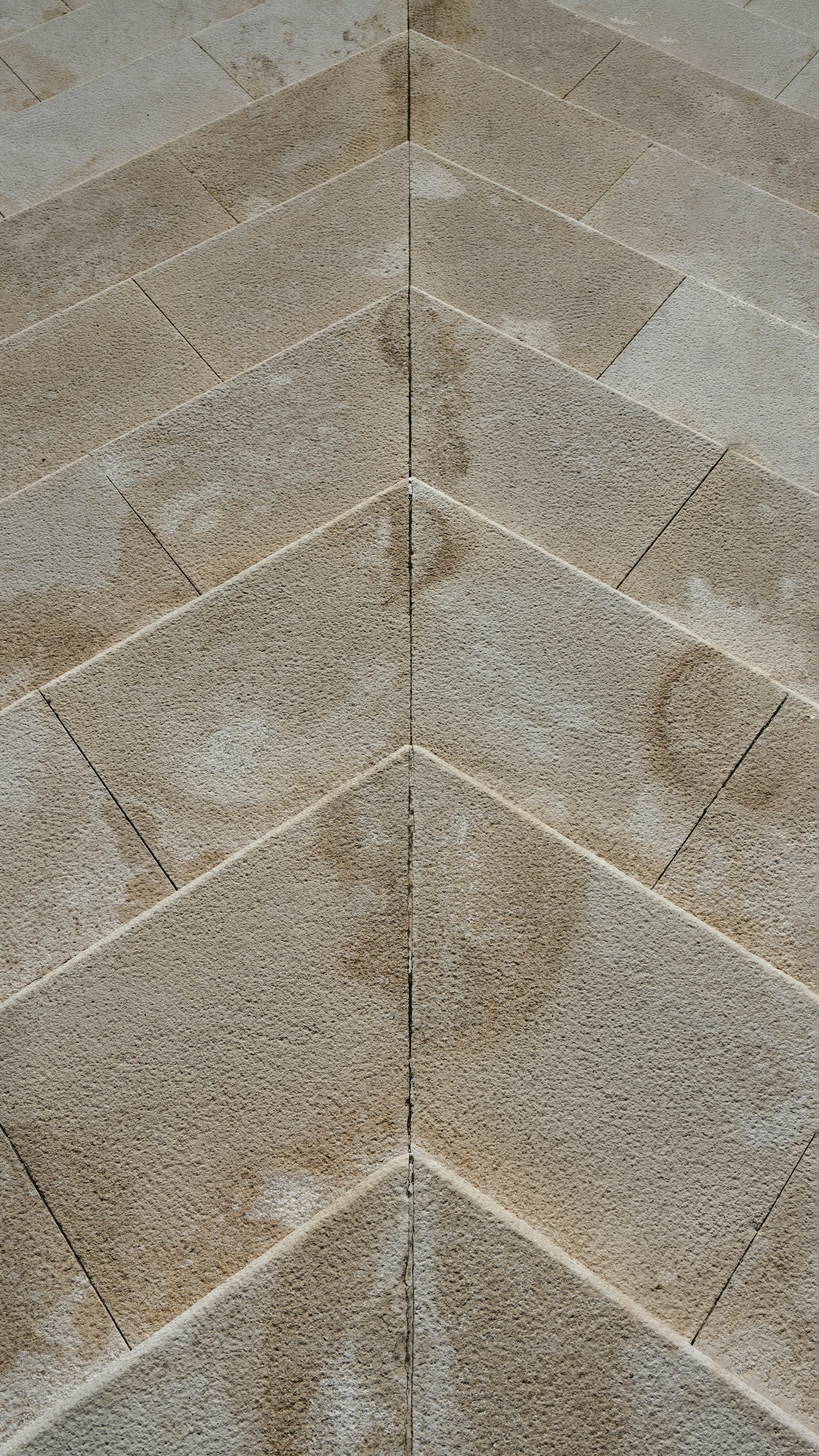 Un gato blanco y negro acostado en un suelo de baldosas