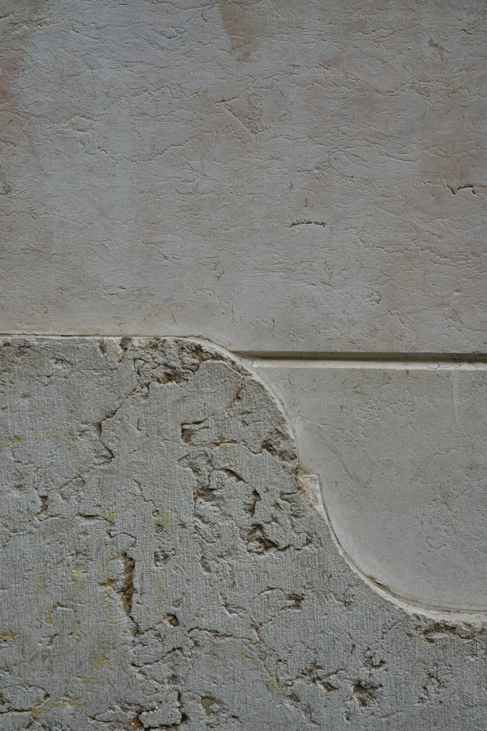 um pássaro está empoleirado no canto de uma parede de concreto