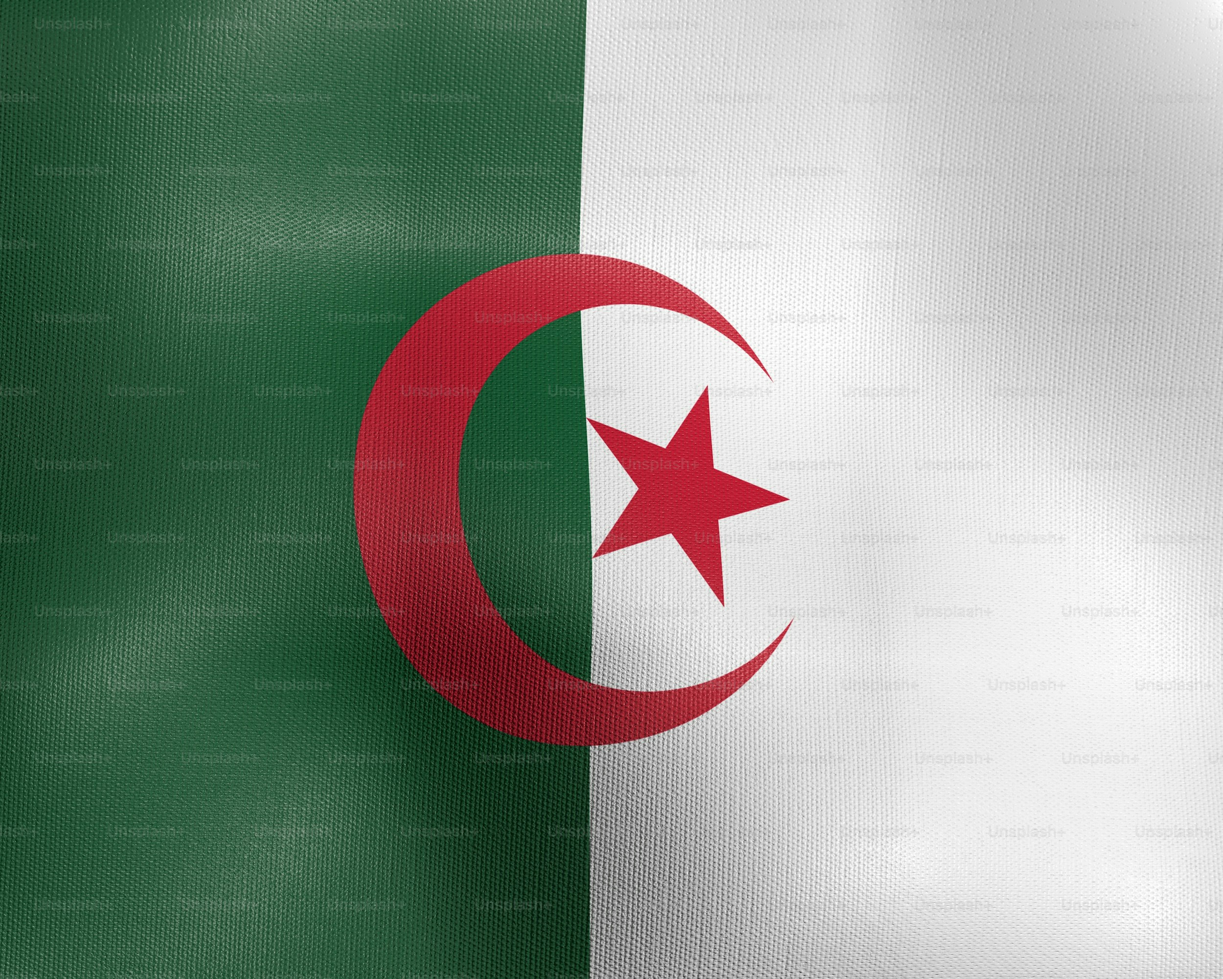 the flag of the country of jordan waving in the wind