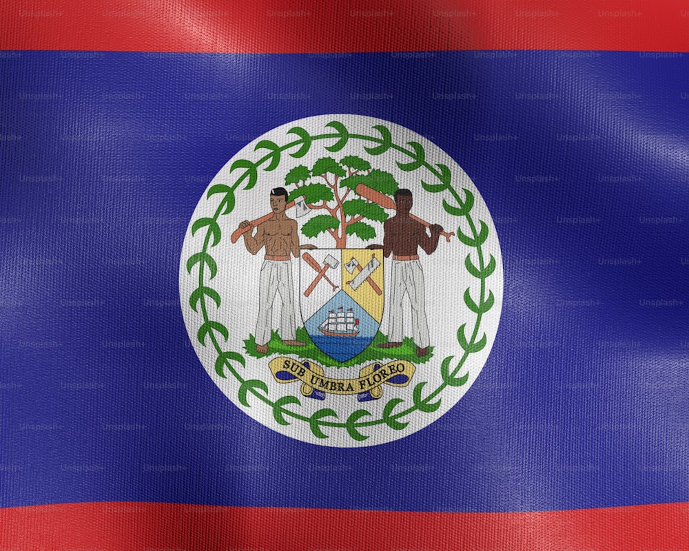 La bandera del estado de Nueva York