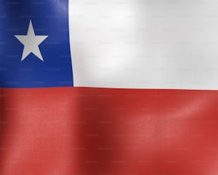 La bandiera dello stato del Texas sventola al vento
