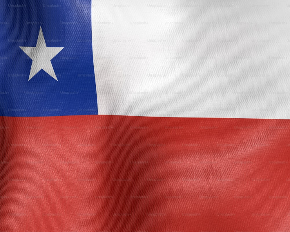 La bandera del estado de Texas ondea en el viento