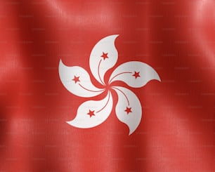 Le drapeau de Hong flottant dans le vent