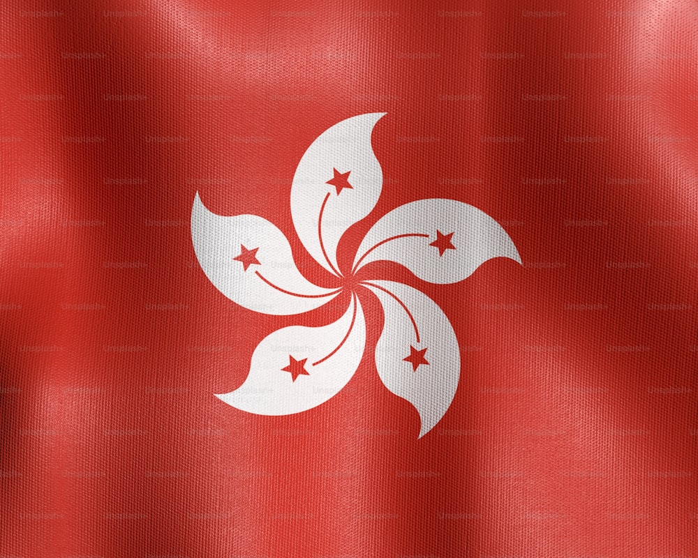 the flag of hong waving in the wind