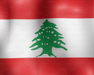 a flag with a christmas tree on it
