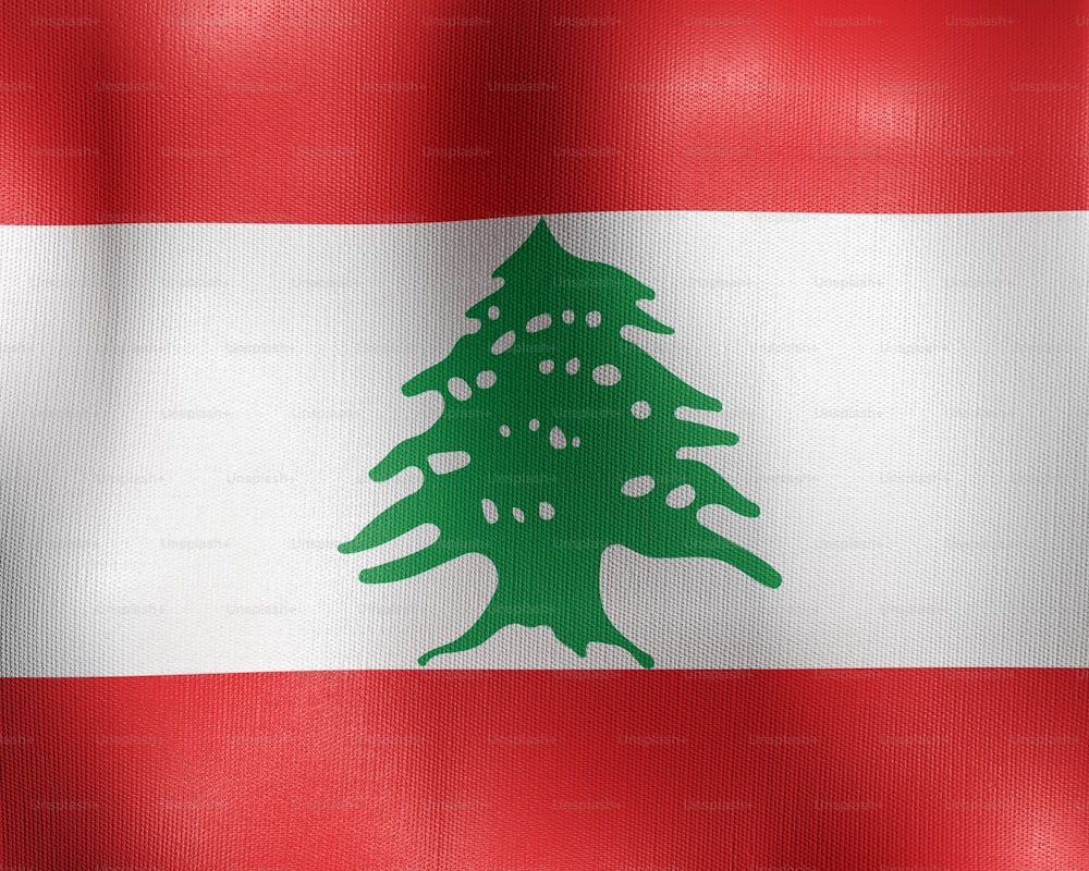 a flag with a christmas tree on it