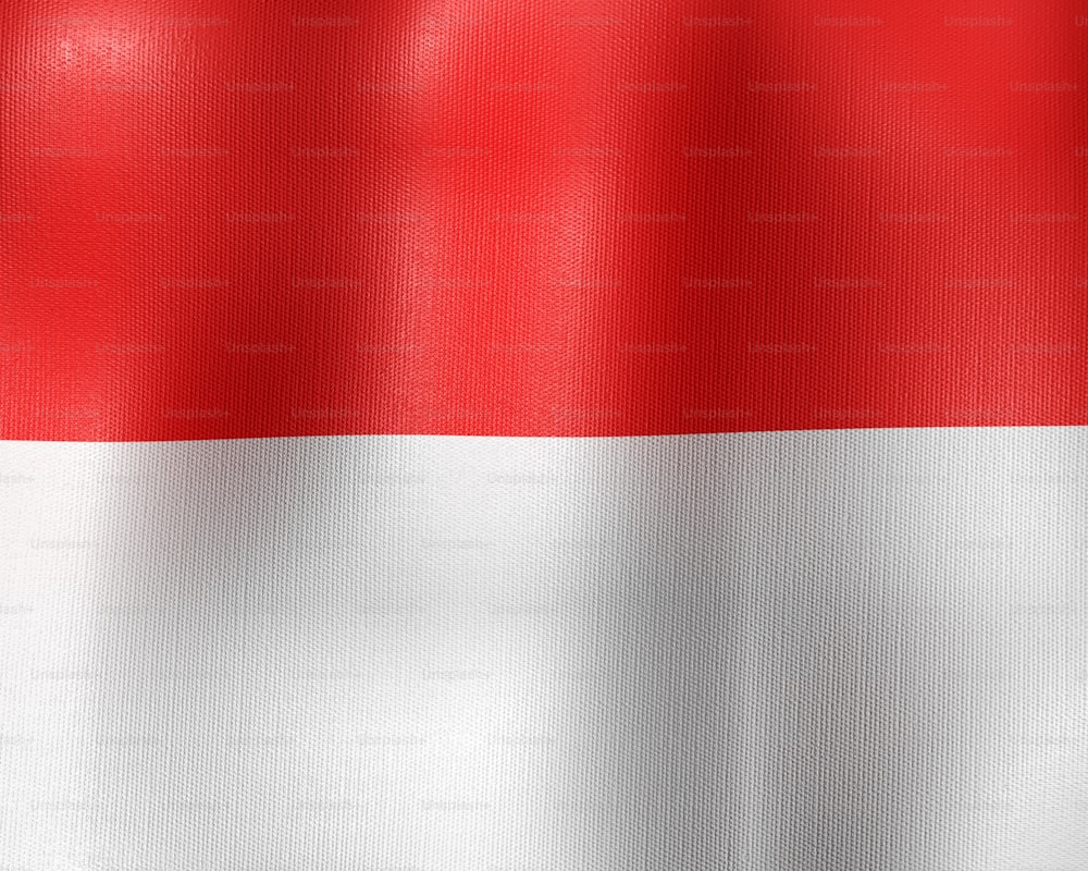 La bandera del estado de Indonesia