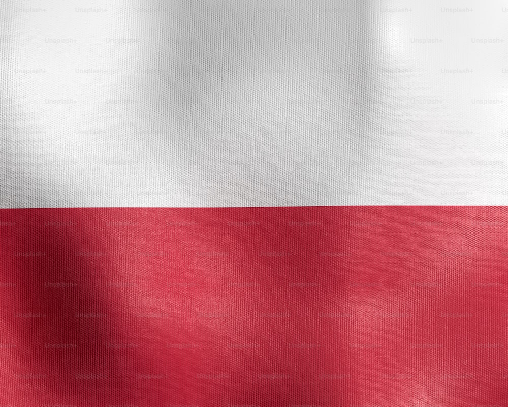 the flag of the state of texas