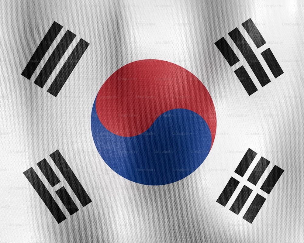 the flag of the country of south korea