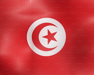 La bandiera del paese della Turchia
