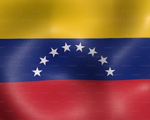 ベネズエラの旗が風に揺れている
