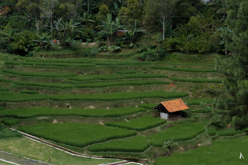 uma casa no meio de um campo verde