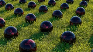 Un campo pieno di palline nere sedute in cima a un campo verde lussureggiante