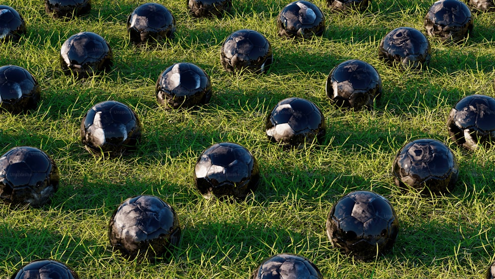 a group of black balls sitting on top of a lush green field