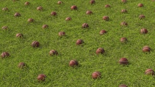 Un campo lleno de bolas rojas sentadas encima de hierba verde