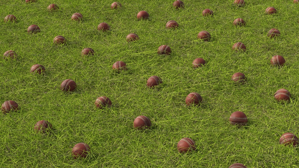 um campo cheio de bolas vermelhas sentadas em cima da grama verde