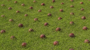 a field full of red balls sitting on top of green grass